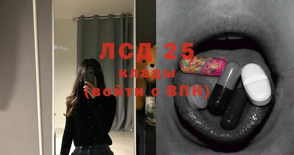 мяу мяу мука Баксан