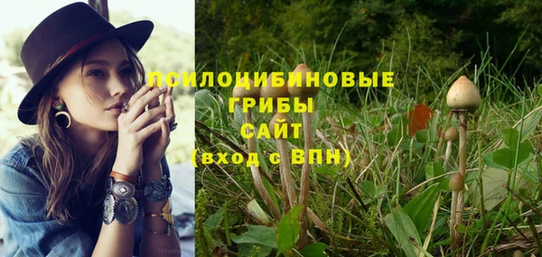 мяу мяу мука Баксан