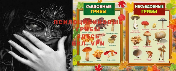 мяу мяу мука Баксан