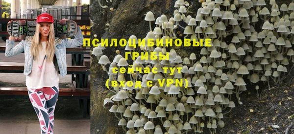 герыч Россошь