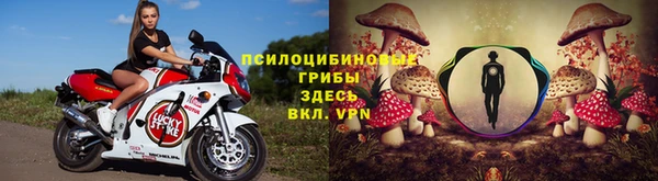 мяу мяу мука Баксан